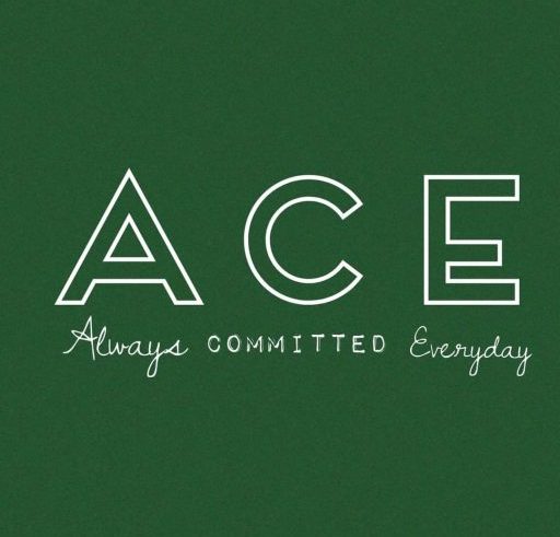 ACE Mindset Journey