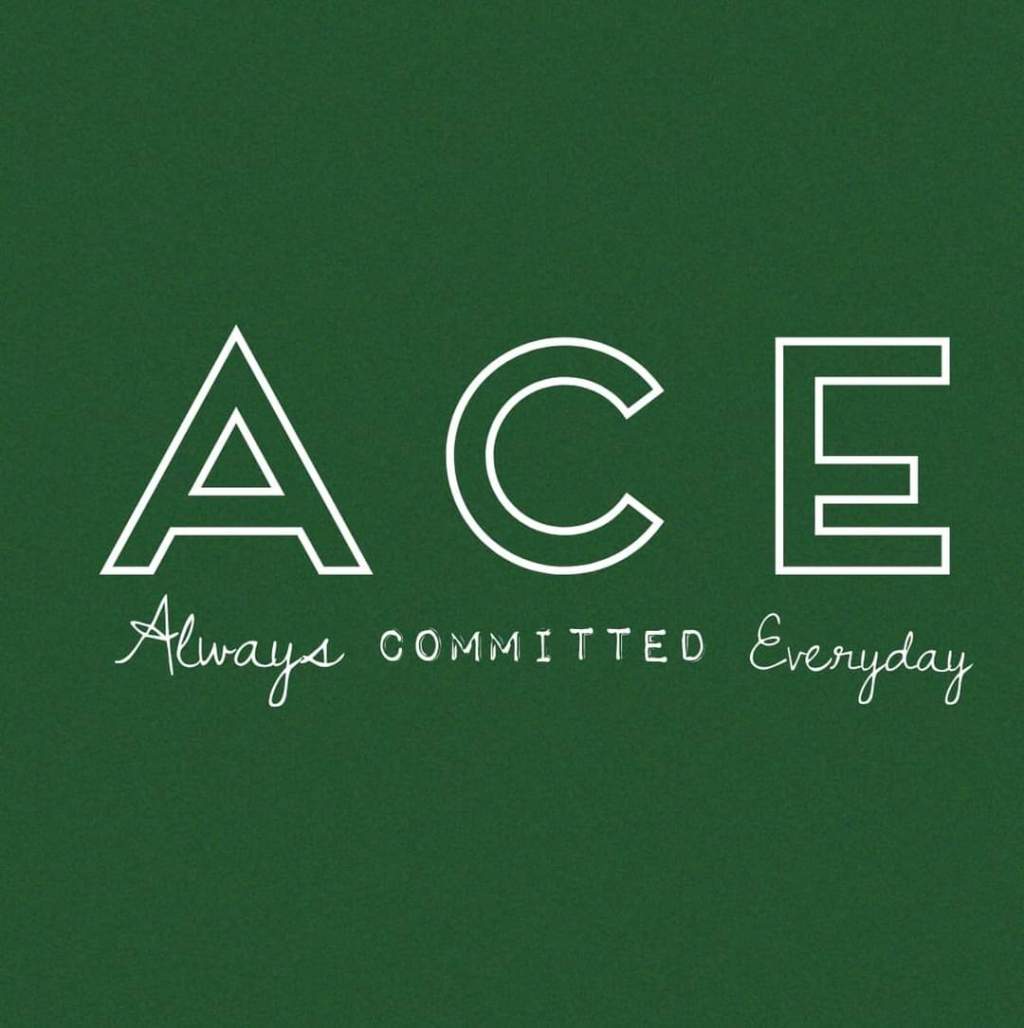 ACE Mindset Journey (LOGO)