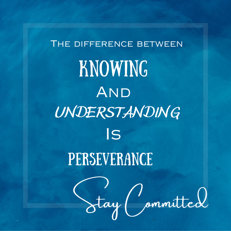 Knowing VS Understanding