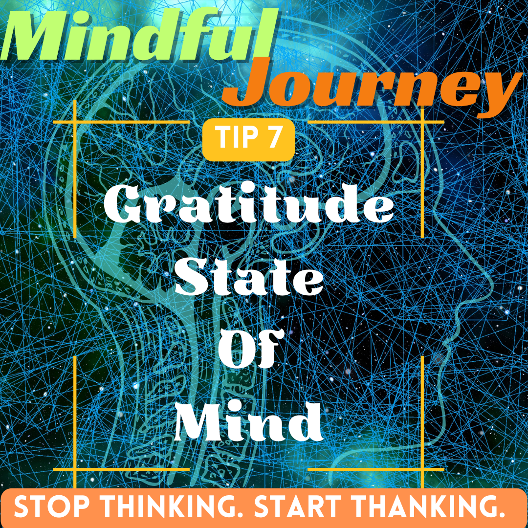 The Mindful Journey (Part 1 – Tip 7): Build a Gratitude Mindset by Slowing Down and Being Present