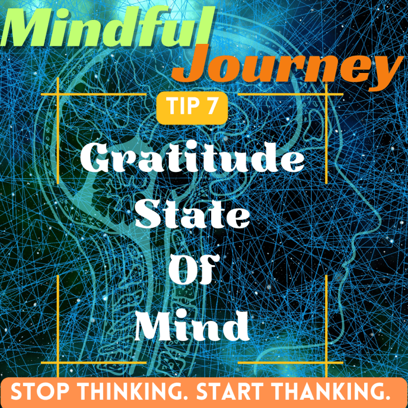 The Mindful Journey: 13 TIPS for Mindfulness, Awareness, Productivity, and Living Intentionally. Tip&nbsp;#7
