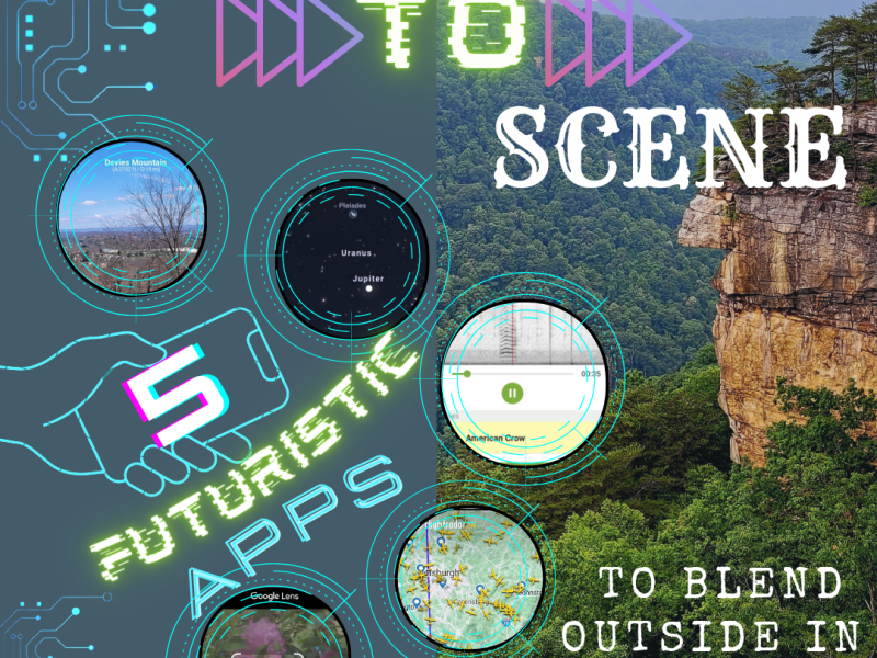 Screen to Scene: 5 Futuristic Apps to Blend Outside in&nbsp;Nature