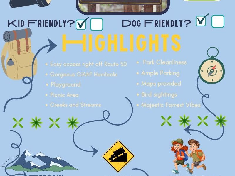 Cathedral State Park: West Virginia Hiking with Kids and&nbsp;Dogs