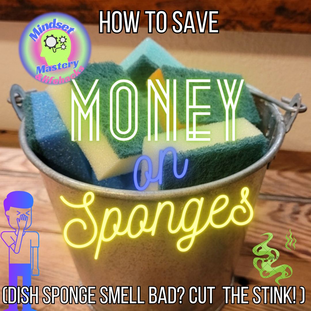 How to Save Money on Dish Sponges (Cut the stink!)