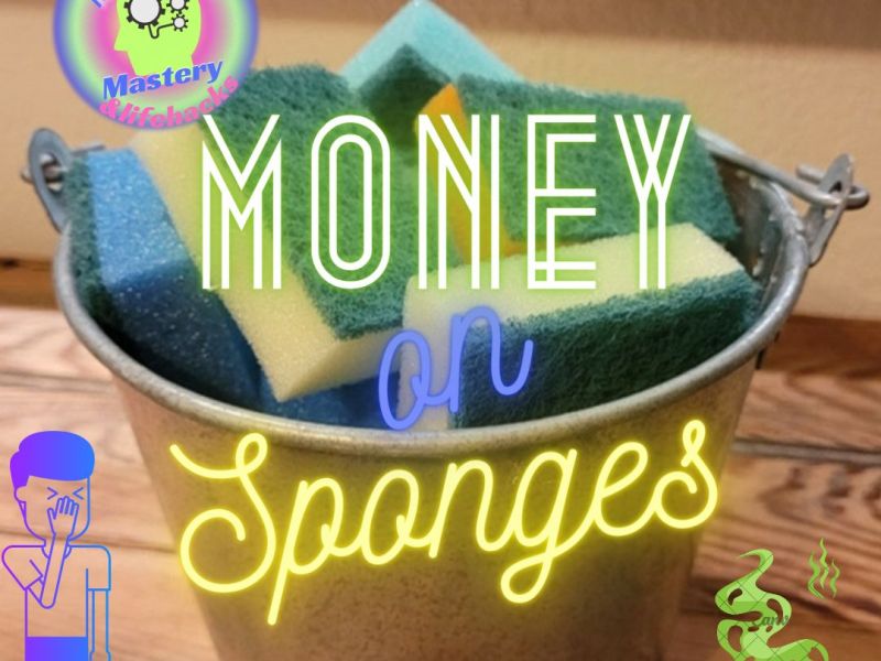 How to Save Money on Dish Sponges (Cut the&nbsp;stink!)