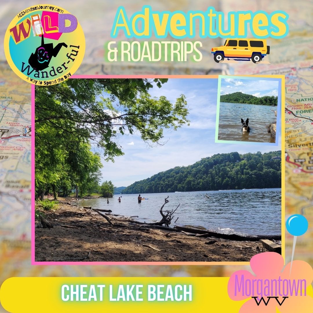 WV Adventures & Roadtrips: Cheat Lake Beach, Morgantown, WV