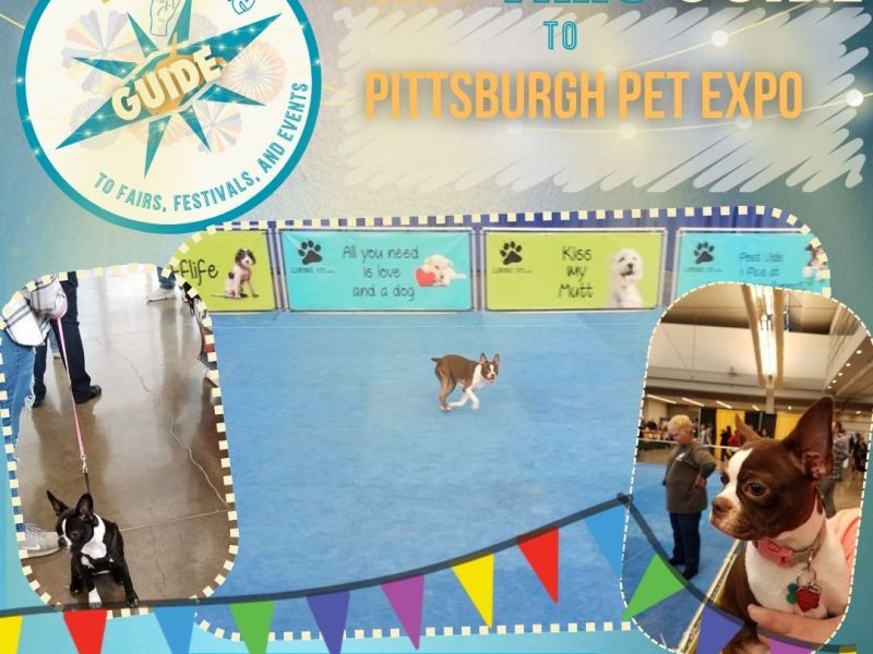 First Time Festival Guide: Pittsburgh Pet&nbsp;Expo