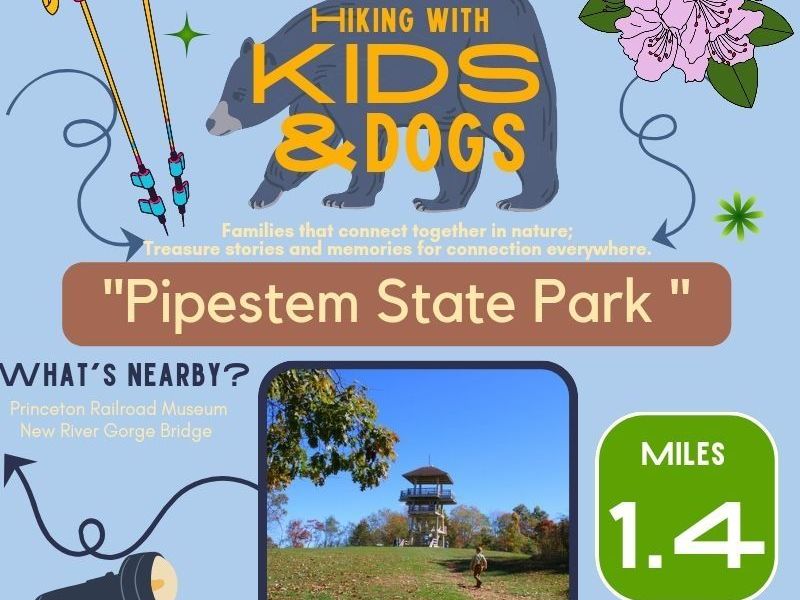 Pipestem State Park: West Virginia Hiking with Kids and&nbsp;Dogs