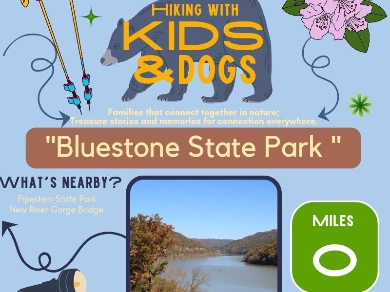 Bluestone State Park: West Virginia Hiking with Kids and&nbsp;Dogs